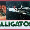 Alligator Italian Photobusta Medium (2)