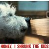 Honey I Shrunk The Kids Us Movie Lobby Card (2)