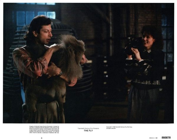 The Fly Us Lobby Card