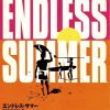 Endless Summer 2024 Rerelease Japanese Flyer Chirashi (1)