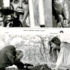 Captain Kronos Vampire Hunter Us Stills X 2 (2)